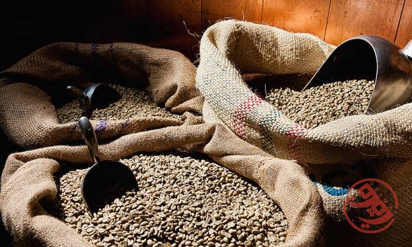قهوه پرو عربیکا