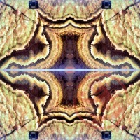 اسلب بک لایت