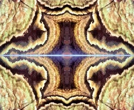 اسلب بک لایت