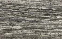 اسلب موجدار سیلور