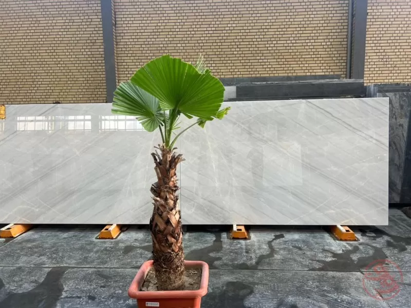 اسلب چینی الیگودرز